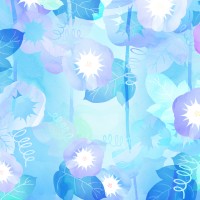 月風(つきか)先生