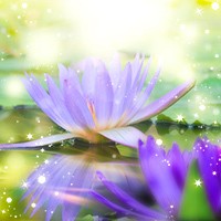 �V�E�i���^�搶