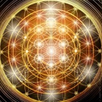 Alma Flora ���C���搶