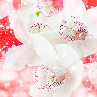 Ӓ 搶