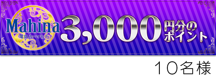 3,000円分のポイント