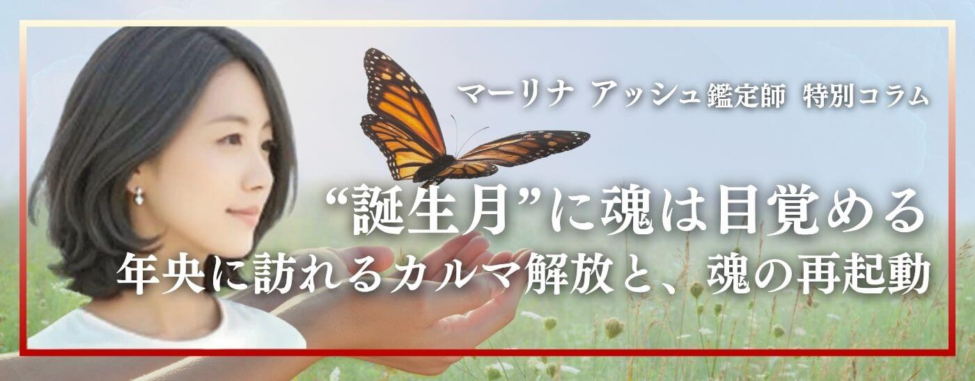 C摜