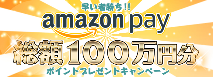 ҏ!!AmazonPayz100~|Cgv[gLy[